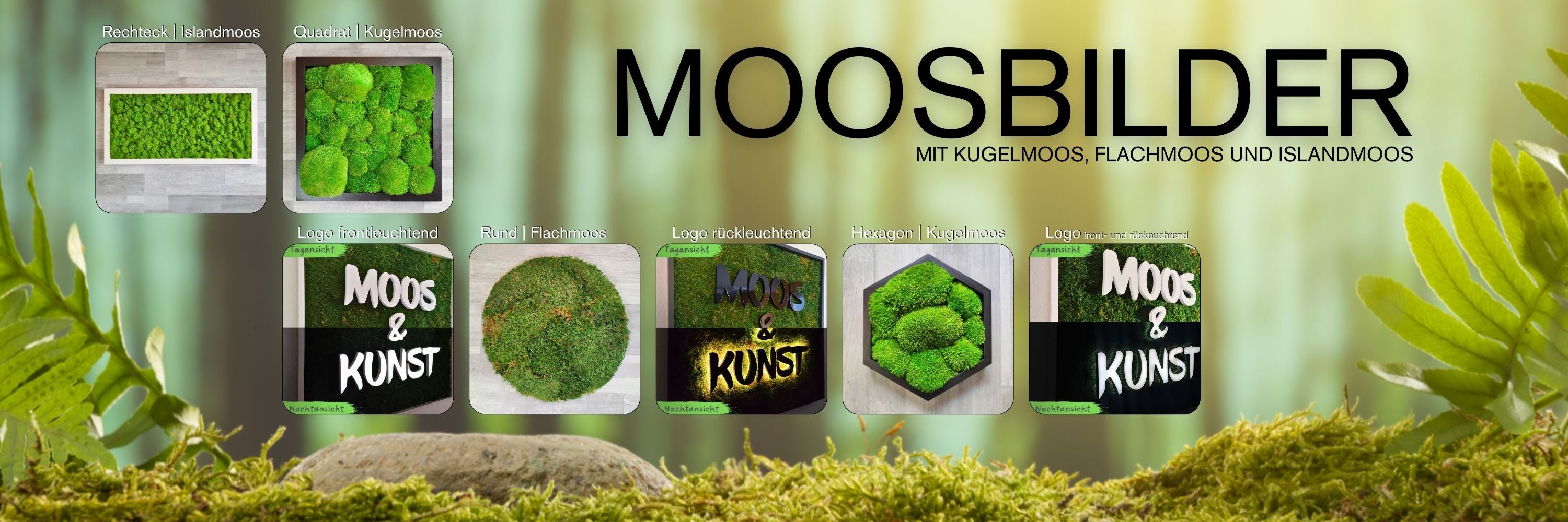 Moosbilder mit Kugelmoos, Islandmoos und Flachmoos. Moos & Kunst - Moosbilder mit Beleuchtung