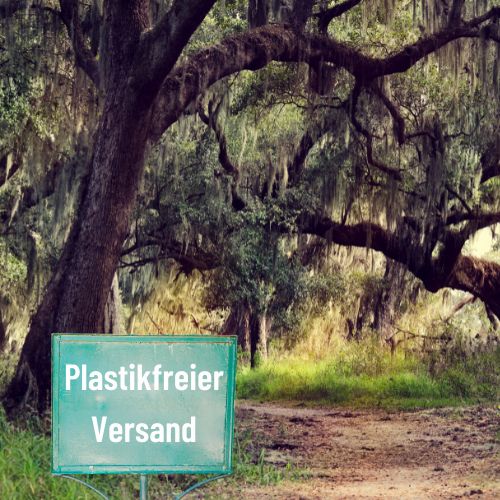 Blog Artikel Plastikfreier Versand - Moos & Kunst Moosbilder beleuchtet