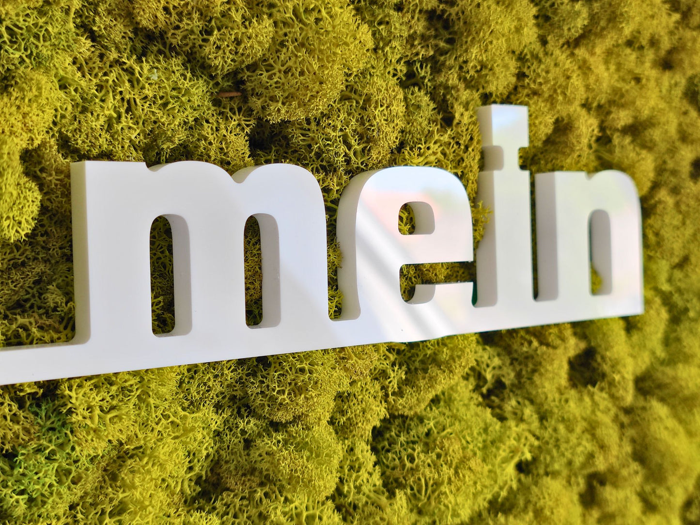 Moosbild mit Logo | 3D Buchstaben unbeleuchtet