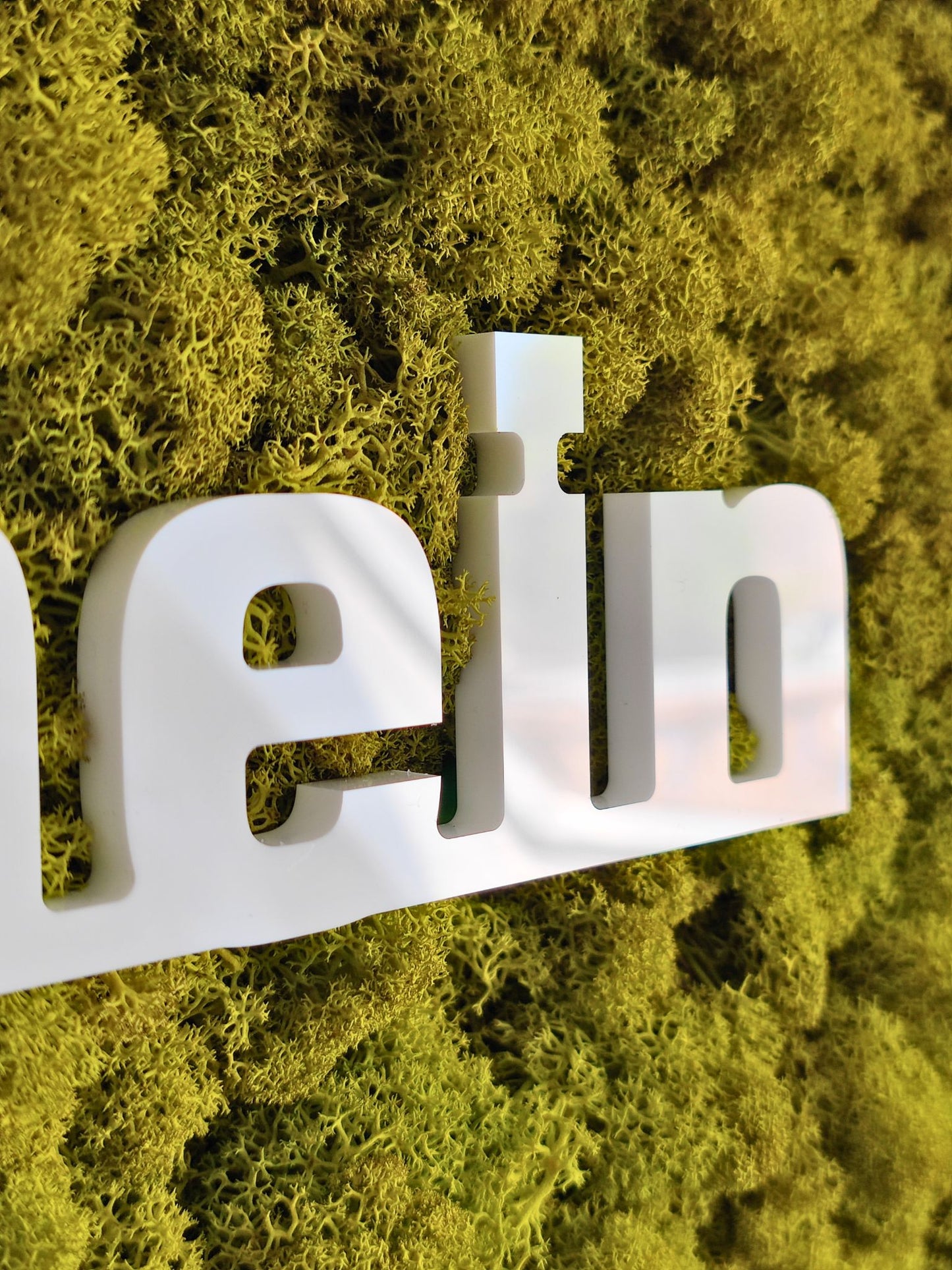Moosbild mit Logo | 3D Buchstaben unbeleuchtet. Islandmoos. 3D Buchstaben weiß. Detailansicht.