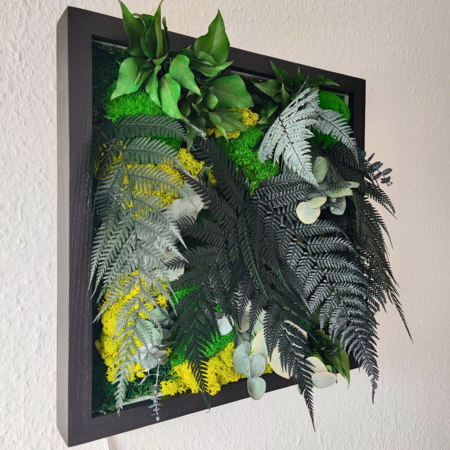 Moosbild Dschungel beleuchtet. Tagansicht - unbeleuchtet. Kugelmoos. Islandmoos. Farn. Holzrahmen. LED Beleuchtung. Detailansicht.