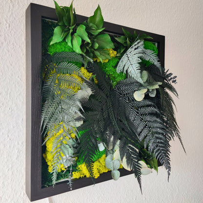 Moosbild Dschungel beleuchtet. Tagansicht - unbeleuchtet. Kugelmoos. Islandmoos. Farn. Holzrahmen. LED Beleuchtung. Detailansicht.