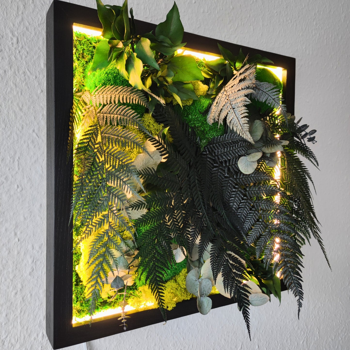 Moosbild Dschungel beleuchtet. Kugelmoos. Islandmoos. Farn. Holzrahmen. LED Beleuchtung.
