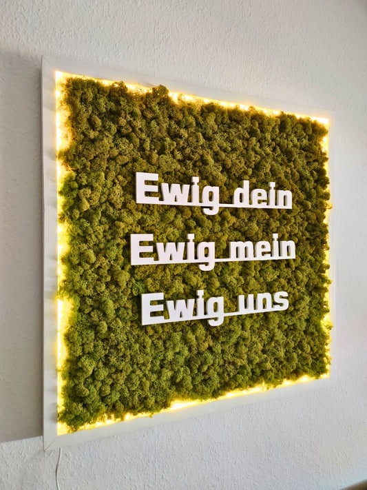 Moosbild mit Logo | 3D Buchstaben unbeleuchtet. Nachtansicht - beleuchtet. Islandmoos. Holzrahmen weiß. 3D Buchstaben weiß.