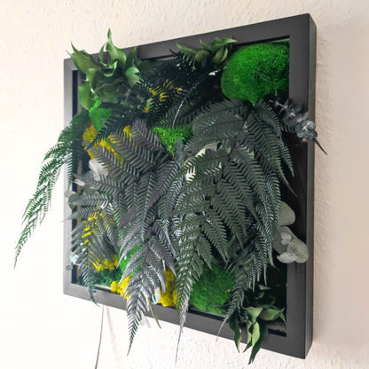 Moosbild Dschungel beleuchtet. Tagansicht - unbeleuchtet. Kugelmoos. Islandmoos. Farn. Holzrahmen. LED Beleuchtung. Detailansicht.