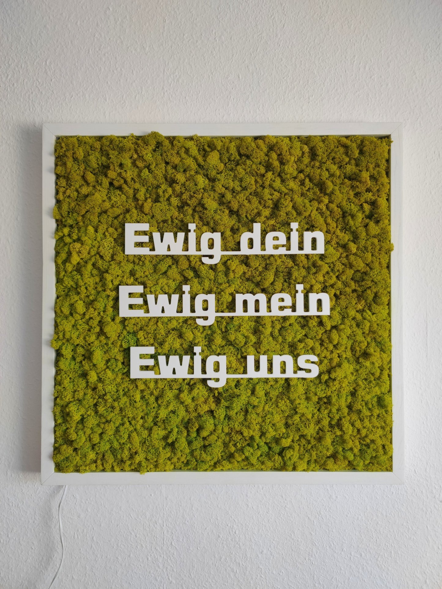 Moosbild mit Logo | 3D Buchstaben unbeleuchtet. Tagansicht - unbeleuchtet. Islandmoos. Holzrahmen weiß. 3D Buchstaben weiß.