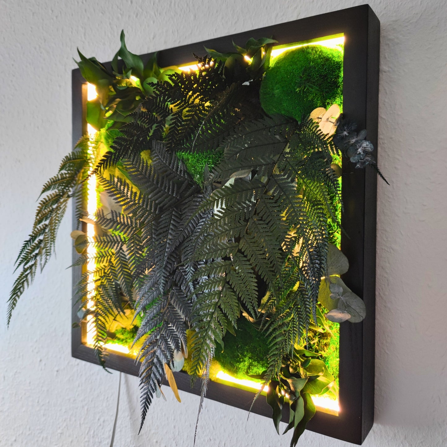 Moosbild Dschungel beleuchtet. Kugelmoos. Islandmoos. Farn. Holzrahmen. LED Beleuchtung.