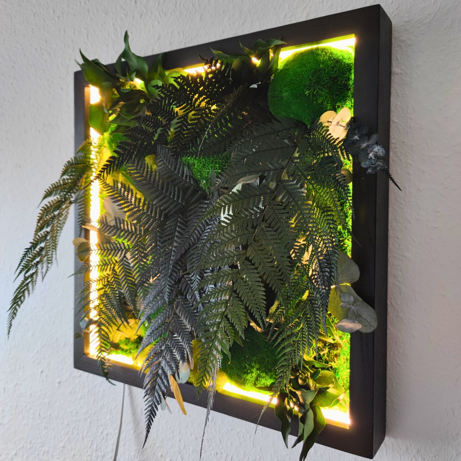 Moosbild Dschungel beleuchtet. Kugelmoos. Islandmoos. Farn. Holzrahmen. LED Beleuchtung.