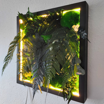 Moosbild Dschungel beleuchtet. Kugelmoos. Islandmoos. Farn. Holzrahmen. LED Beleuchtung.