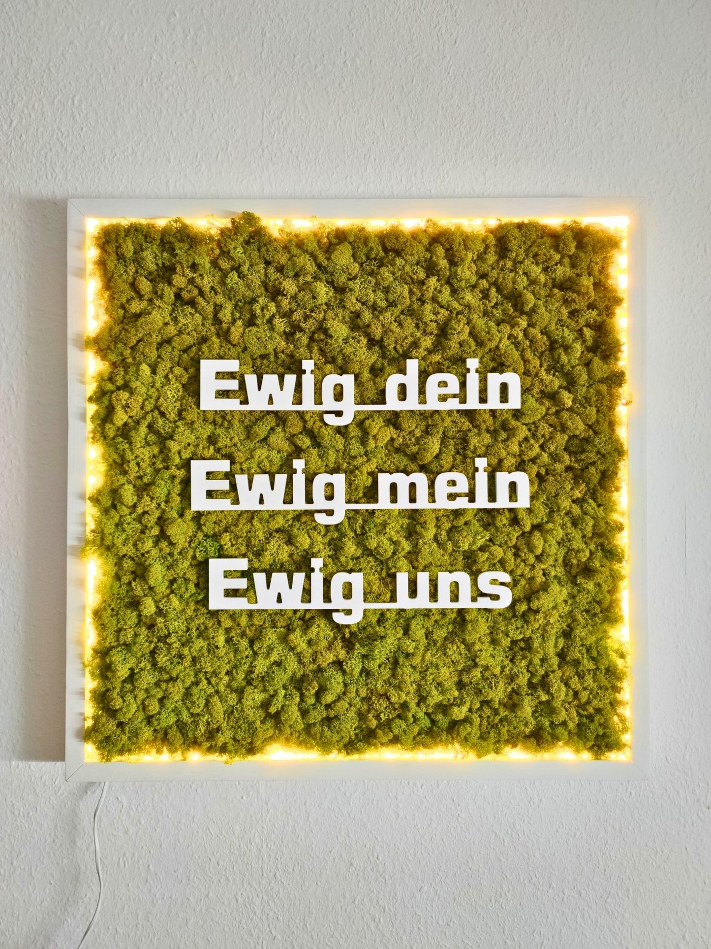 Moosbild mit Logo | 3D Buchstaben unbeleuchtet. Nachtansicht - beleuchtet. Islandmoos. Holzrahmen weiß. 3D Buchstaben weiß.