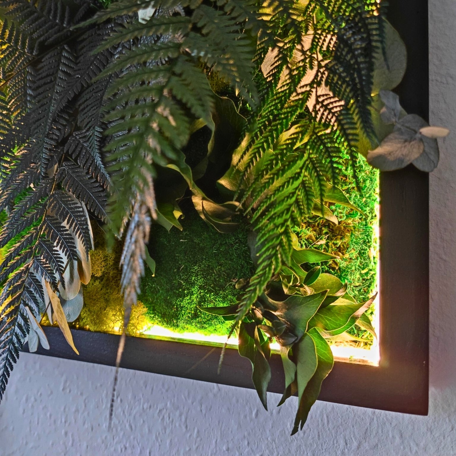 Moosbild Dschungel beleuchtet. Kugelmoos. Islandmoos. Farn. Holzrahmen. LED Beleuchtung.