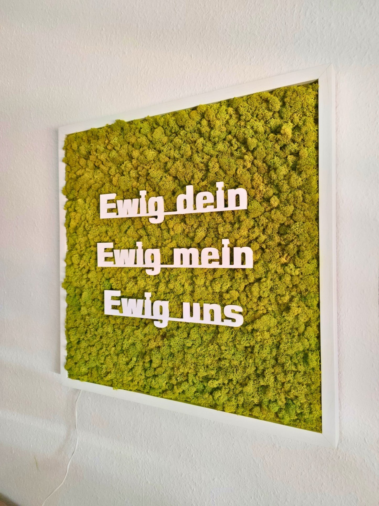 Moosbild mit Logo | 3D Buchstaben unbeleuchtet. Tagansicht - unbeleuchtet. Islandmoos. Holzrahmen weiß. 3D Buchstaben weiß.