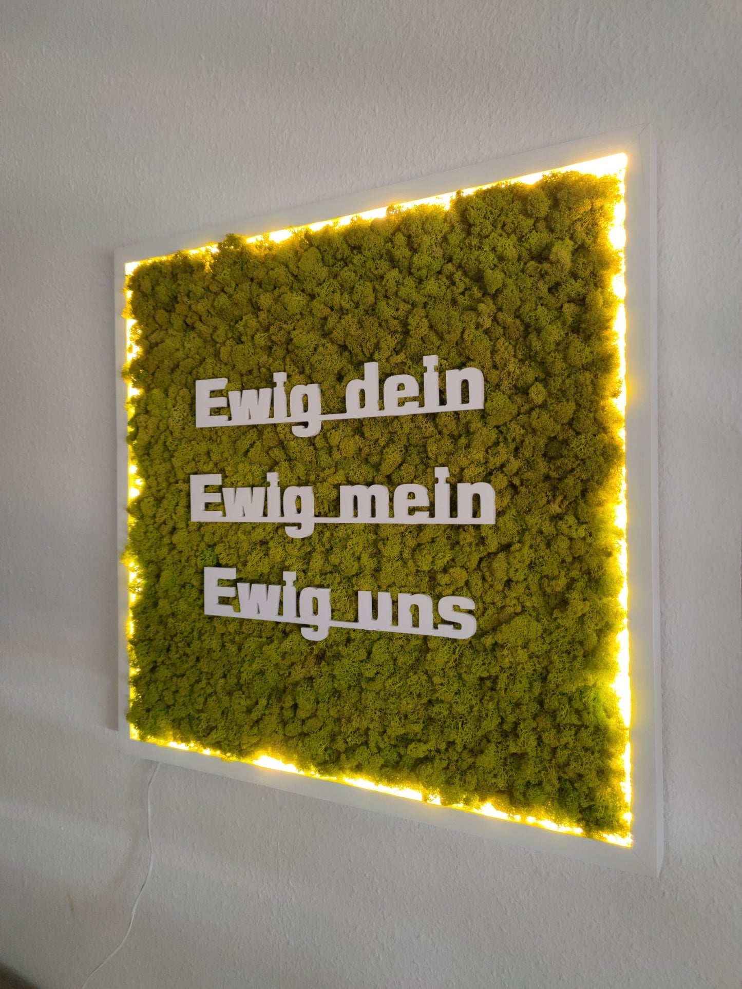 Moosbild mit Logo | 3D Buchstaben unbeleuchtet. Nachtansicht - beleuchtet. Islandmoos. Holzrahmen weiß. 3D Buchstaben weiß.
