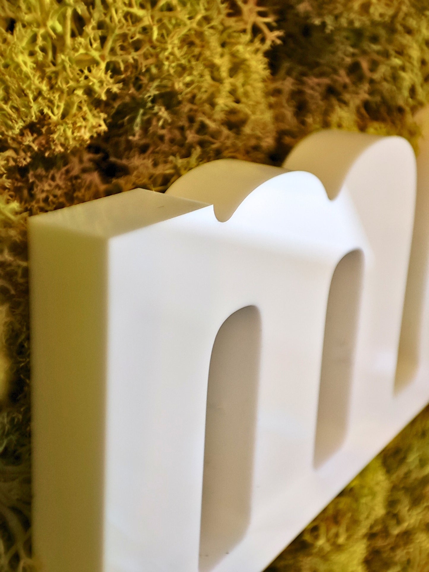 Moosbild mit Logo | 3D Buchstaben unbeleuchtet. Islandmoos. 3D Buchstaben weiß. Detailansicht.
