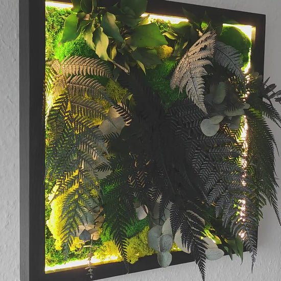 Moosbild Dschungel | Pflegefreies Pflanzenbild im Dschungel Design