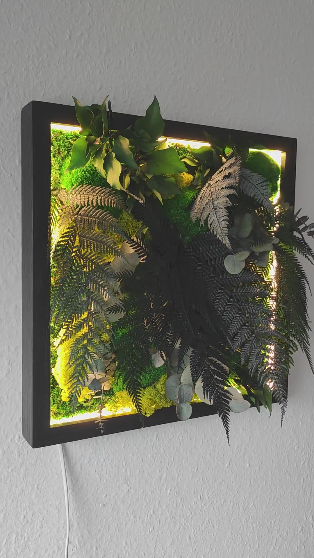 Moosbild Dschungel | Pflegefreies Pflanzenbild im Dschungel Design