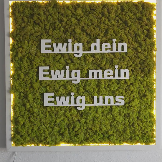 Video Moosbild beleuchtet mit Logo. Islandmoos. Holrahmen weiß. 3D Buchstaben weiß.