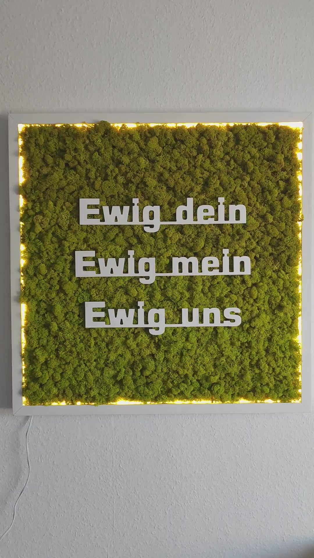 Video Moosbild beleuchtet mit Logo. Islandmoos. Holrahmen weiß. 3D Buchstaben weiß.