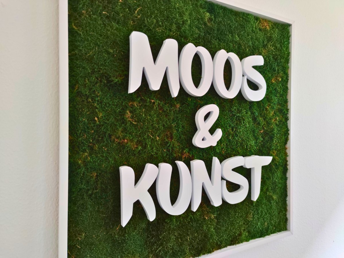 Moosbild mit Flachmoos und 3D Buchstaben frontleuchtend. Gesamtansicht mit 3D Buchstaben sichtbar.  Gesamtansicht 1x1 Meter. Handgefertigter Holzbilderrahmen lackiert. Logo Frontleuchtend. Individuelle Leuchtreklame. Geschenkidee. Bürodeko. Moderne Wanddeko.